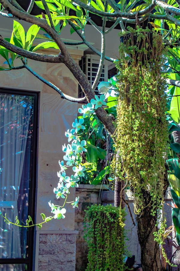 Villa Impian Canggu Dış mekan fotoğraf