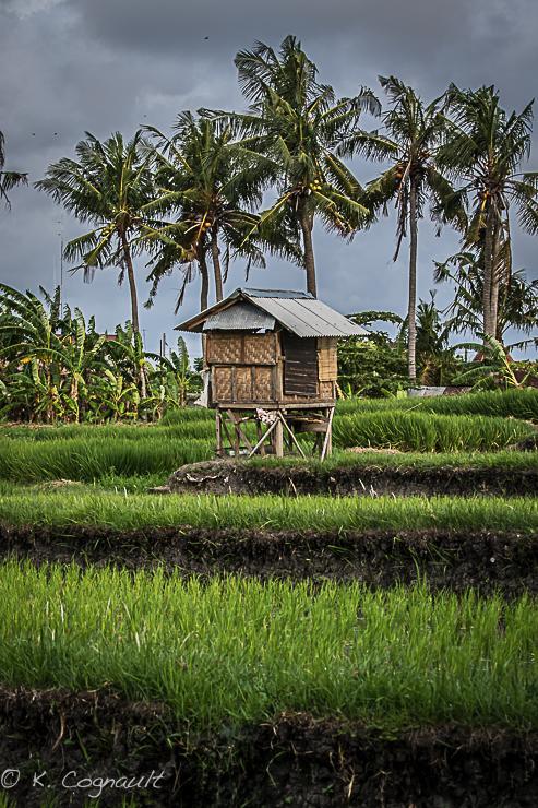 Villa Impian Canggu Dış mekan fotoğraf